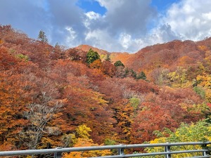 20221103紅葉1