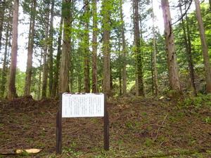 P1070558
