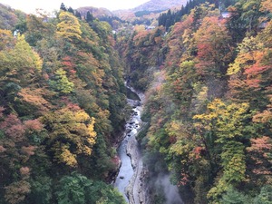 IMG_3161
