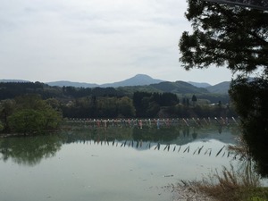 IMG_0407