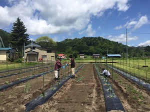 ���������ػҿ���2