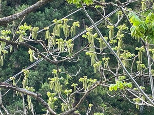 IMG_8846