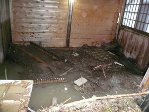 ����ľ��20