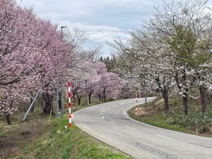 0418ȬϺ����ƻ��
