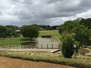 IMG_0696