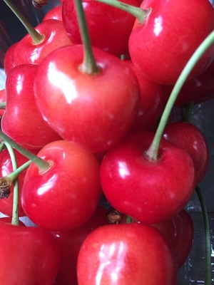 202006��������