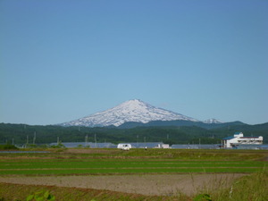 061029