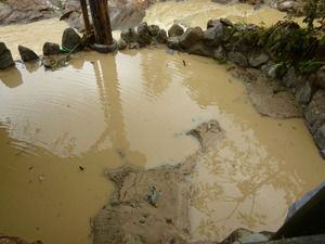 ��������15