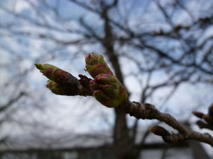 042402