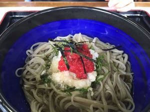 IMG_0458