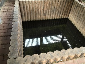 IMG_0716