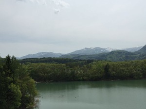 IMG_0455