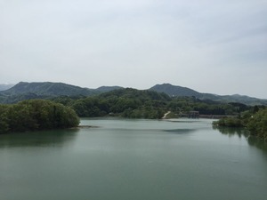 IMG_0454