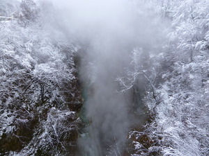 P1060577