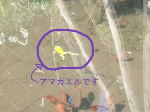 ���ޥ����뤪������