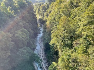 IMG_0164
