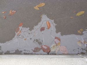 24120103