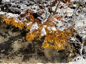 1120��ȹ���
