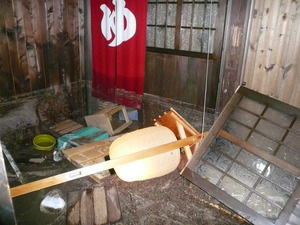 ����ľ��06