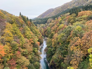 20251031紅葉小安峡1