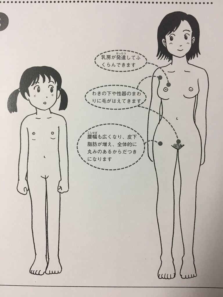 性教育　裸 