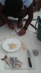 ���ێ��ގ�Ĵ��?