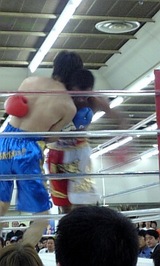 �Ύގ����ݎ���