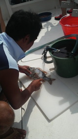 ���ێ��ގ�Ĵ��?