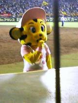 �׎�����