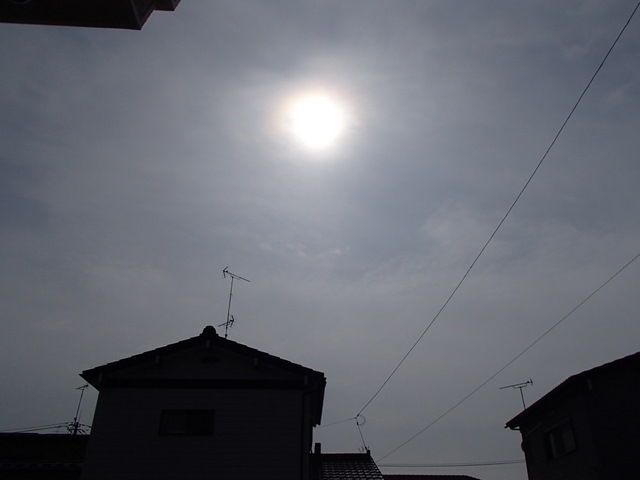 太陽