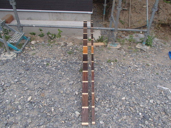 杉Ver