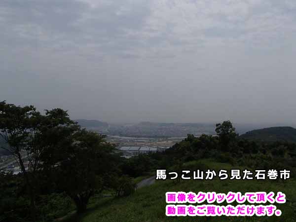 馬っこ山