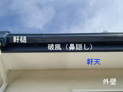 軒天
