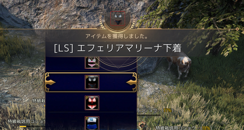 黒い砂漠 - 404416 2021_12_22 0_03_13