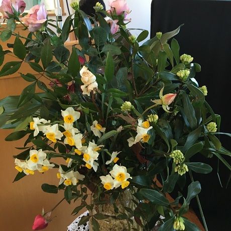 今日のお花