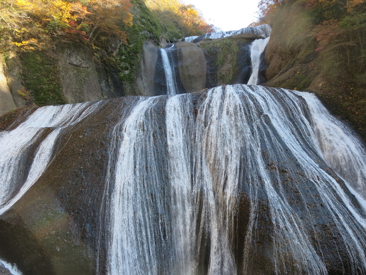 シガと氷瀑の久慈川 袋田の滝 シニア パラダイス