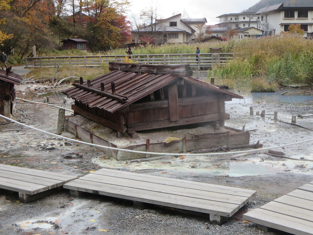源泉小屋煙る 湯ノ平湿原 シニア パラダイス
