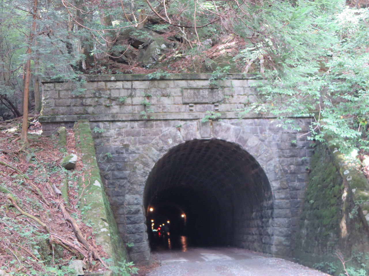 人里離れた 天城山隧道 シニア パラダイス 人里離れた 天城山隧道 シニア パラダイス