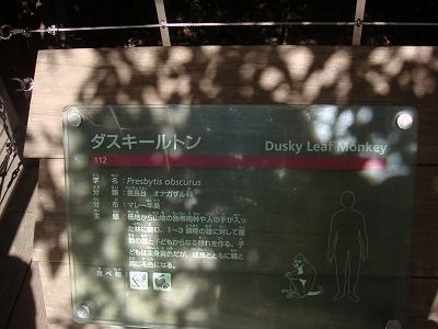 イメージ 9