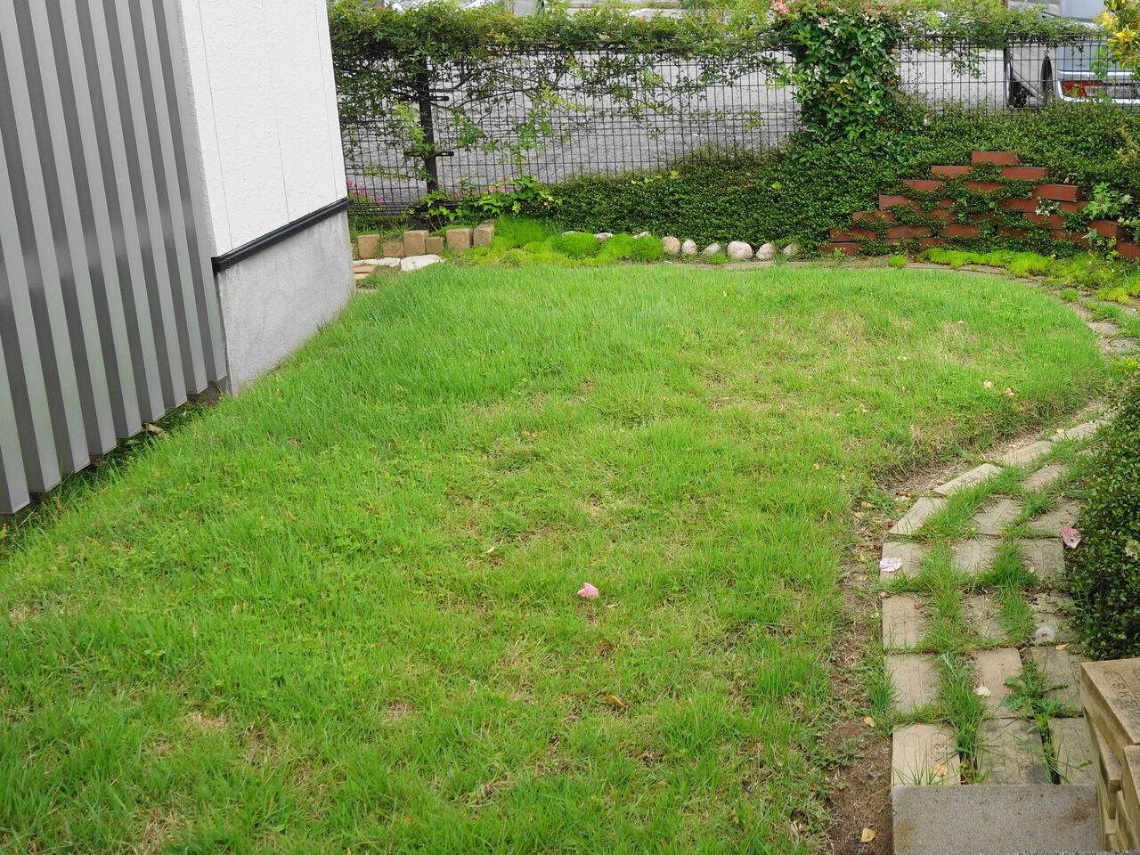 芝生再生 模型部屋でコツコツ