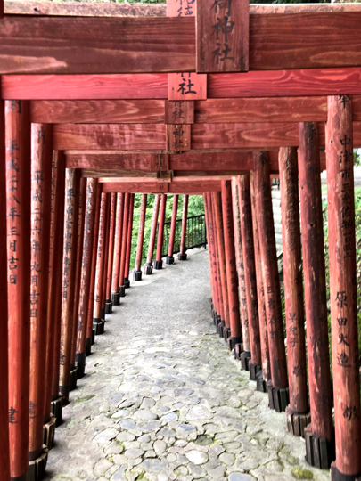 saga_trip_yutokuinari_torii