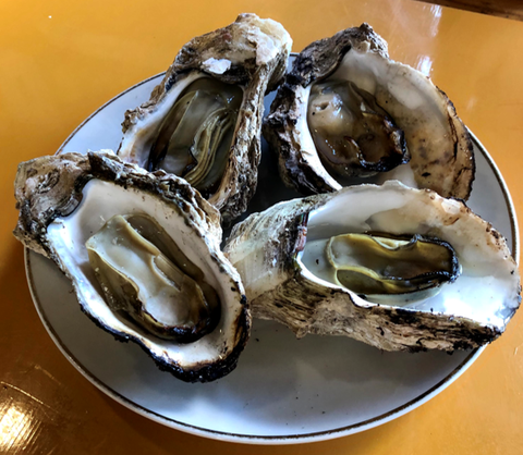 saga_trip_cooked_oyster