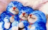 ¥ê¥¢¥ë¥É¥é¤¨¤â¤ó