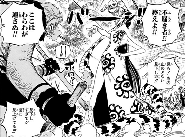 ワンピース 王下七武海 女帝 ボア ハンコックの戦歴 徒然なるままに趣味を楽しむ ワンピース 王下七武海 女帝 ボア ハンコックの戦歴 徒然なるままに趣味を楽しむ