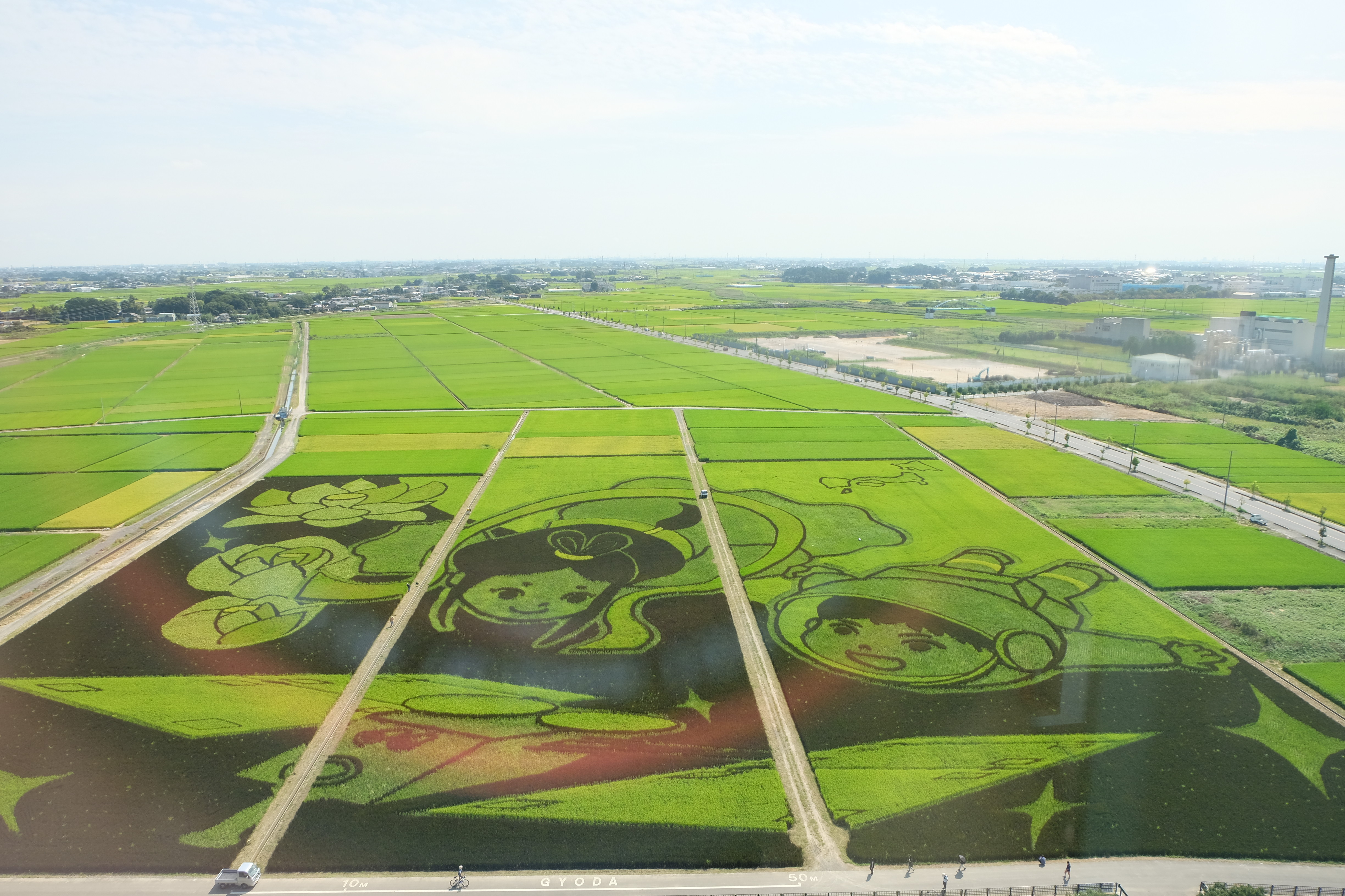 Xマウント: 便利で使い勝手の良い XC16-50mm OIS II で田んぼアートを