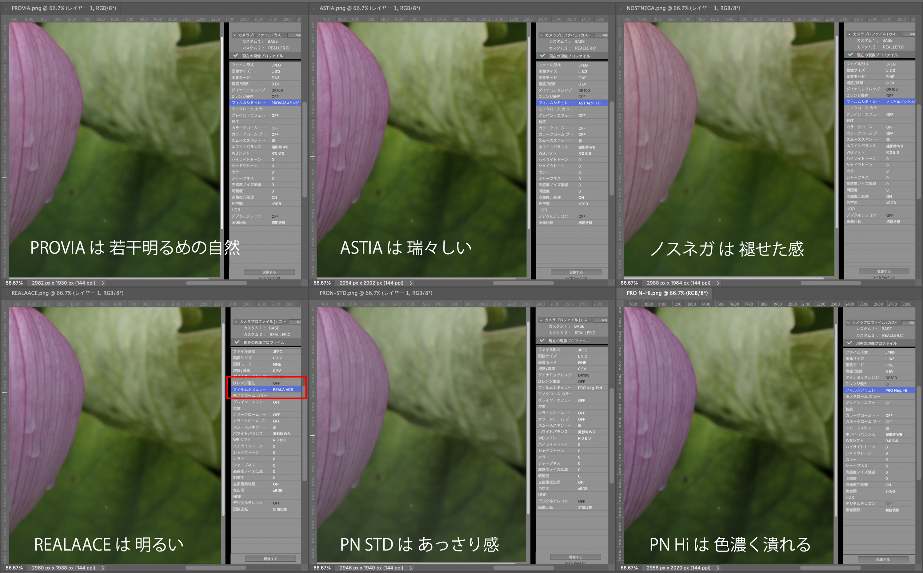 Xマウント: XF16-50mmの登場とREALA ACE : abeshi's snapshots V5.5