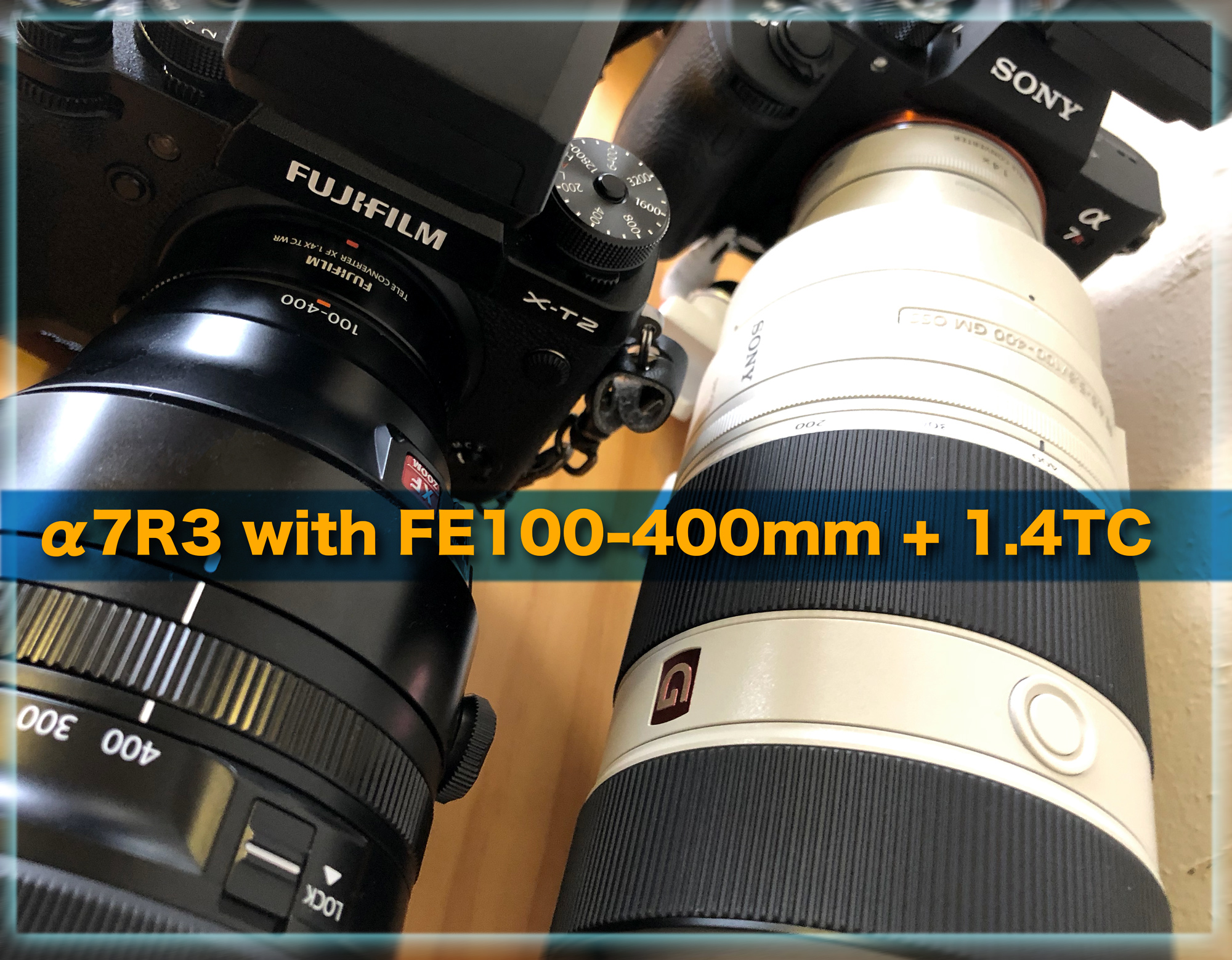 X-T2 and α7R3: レンズ対決 FE100-400mm with 1.4TC ファースト X-T2 and α7R3: レンズ対決 FE100-400mm with 1.4TC ファースト