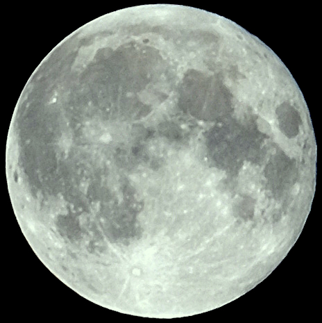 X-T10: 月光の2回撃・連携技を決める : abeshi's snapshots V5.5