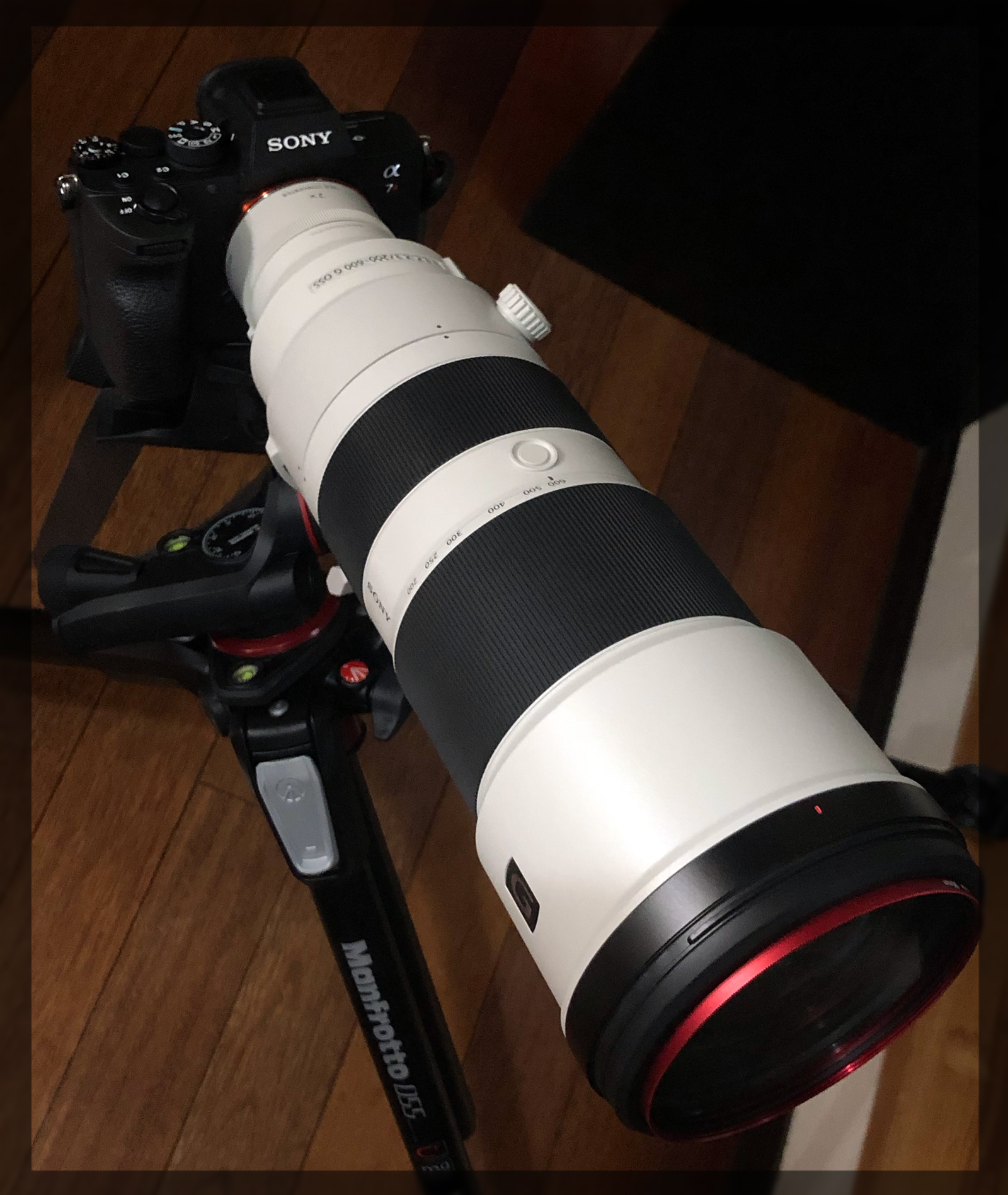 α7RIV: FE200-600mm_F5.6-6.3_Gの導入とa7R4のグリップの小指