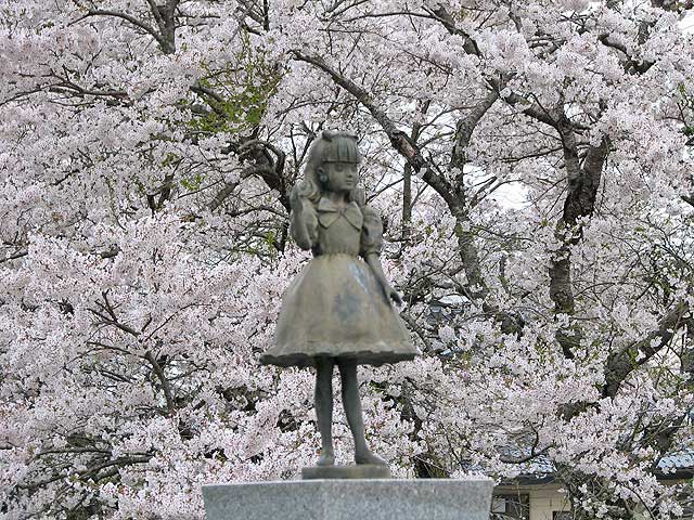 夏井川の桜 2008 : あぶくまの桜